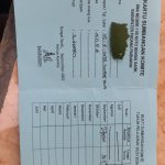 WhatsApp Image 2025-09-22 at 14.37.51